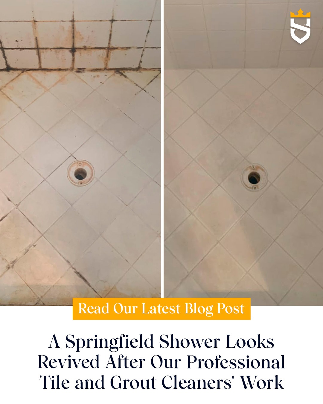 A Springfield Shower Looks Revived After Our Professional Tile and Grout Cleaners Work